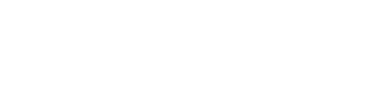 EVOMMERCE